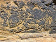 Ocean Rock Texture (4).jpg